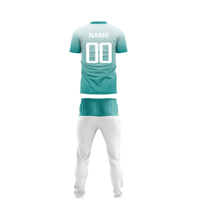 Best Quality <b>Cricket</b> Uniform Quick Dry Men <b>Cricket</b> Uniform Shorts Sleeve <b>Cricket</b> Team Uniform - Product Image 4