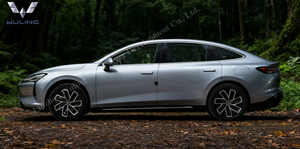 2025 Wuling Baojun Xiangjing sedán eléctrico-Entrenamiento aceptado con techo Coche usado Coche eléctrico <span class=keywords><strong>3</strong></span> años Niño - Product Image 3