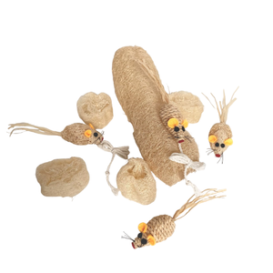 Juguete Masticable para Gatos de Luffa de Vietnam, Juguete Ecológico para la Limpieza Dental de Gatos, TH Global - Product Image 5