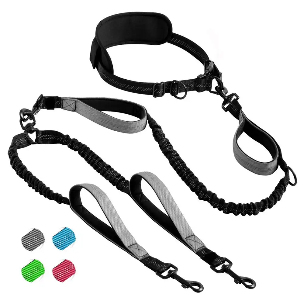 Multifunctional Wholesale Luxury Pull Two Double Head Nylon Reflective Handsfree Hands Free Waist Belt Running Pet Dog Leash