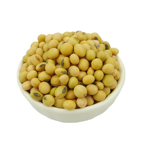 Chứng nhận đậu nành + không biến đổi gen Vàng đậu tương + Đậu Nành Đậu hạt giống - Product Image 5