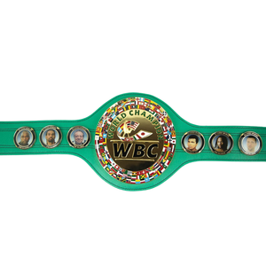 เข็มขัดแชมป์นิวอิงแลนด์ แพทริออตส์ สำหรับกีฬาอเมริกันฟุตบอล ขนาด 2 มม. 4 มม. ใช้พลังงานแบบแมนนวล สำหรับการแข่งขันชิงแชมป์ Ronpex - Product Image 3