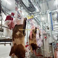 Équipement complet d'abattoir miniature pour bovins, équipement de boucherie pour bovins, machinerie d'abattoir, ligne d'abattage de bœuf, usine d'abattage