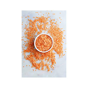 Lentejas finas limpias y clasificadas listas para su envío a empresas globales de procesamiento de alimentos - Product Image 4