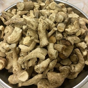 Tige de champignon pour l'exportation Tige de champignon du fournisseur du Vietnam Meilleure vente de tige de champignon - Product Image 3