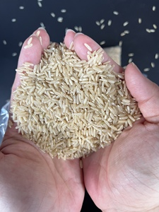 [Anna DO vilaconic] ข้าวขาวจัสมินข้าวเมล็ดยาวสำหรับขายขายขายข้าวขาวสีน้ำตาลเมล็ดยาว Riz arroz เพิ่มขึ้น - Product Image 2