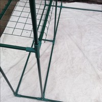 11/19mm connecteur d'angle 3/4/5 voies construction plante piquets Cages prend en charge le jardin auvent Joint cadre tuyau serre support pièces