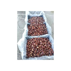 เมล็ดเกาลัดสดแบบออร์แกนิกปอกเปลือก - Product Image 5