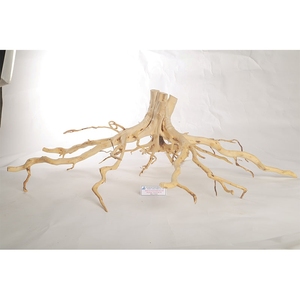 Décoration d'aquarium en bois flotté naturel, forme irrégulière, ornement durable pour aquarium, style simple, fabriqué au Vietnam - Product Image 4
