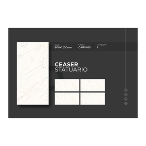 Vente chaude 600X1200MM Intérieur Design Moderne Carreaux De Sculpture En Porcelaine 5mm Épaisseur pour Planchers De Cuisine Directement De L'exportateur Indien - Product Image 1