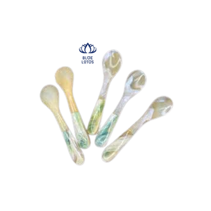 เวียดนามหอยสังข์ช้อนราคาที่ดีที่สุดสำหรับการส่งออก - Product Image 3