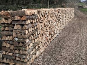 TOP GRADE Dried Quality Firewood/Oak fire wood/Beech/Birch firewood FOR SALE. - Product Image 6