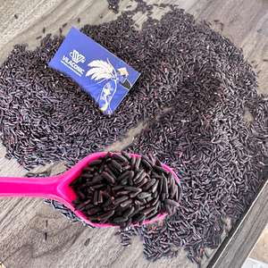 Arroz negro vietnamita de alta calidad orgánico a granel al por mayor Riz Noir Vietnam Bio para Salud, Cocina, Exportacion / ANNA DO - Product Image 2
