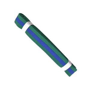 Ceinture de BJJ de haute qualité au design professionnel, 100% coton/polyester, couleur et taille personnalisables, pour les arts martiaux, fabriquée au Pakistan - Product Image 1