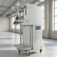 Machine d'emballage sous vide industrielle pour le remplissage d'azote, destinée aux granulés plastiques, aux matériaux chimiques et aux emballages de sacs.