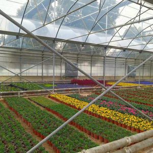 Energy-Efficient Modern Multi-Span Single Layer Large <b>Plastic</b> Commercial Film Greenhouse for Sustainable Growers - Product Image 2