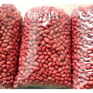 Nueces de cacahuetes secos nutritivos de Vietnam para exportación con precios competitivos para compradores mayoristas - Product Image 6