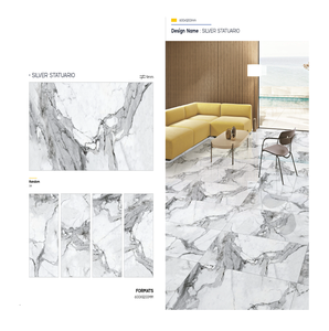 Azulejos de Cerámica de Porcelana de Diseño Moderno, 60x120 cm, Acabado Mate, Brillante y Lustroso, 8 mm de Grosor, Alta Absorción - Product Image 1