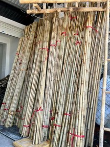 Varas de Bambú Dorado Tratado de Vietnam, Paquete de Varas de 1-10 m de Largo, Sólidas y Gruesas para Agricultura, Construcción y Decoración del Hogar - SAFIMEX - Product Image 6