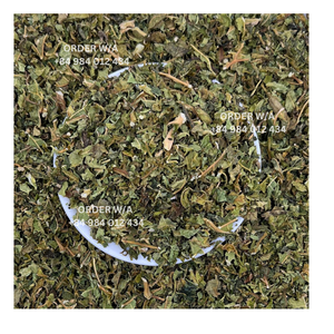 Achetez des feuilles de papaye séchées de qualité supérieure à bas prix, idéales pour la vente en gros de tisane papaye et d'autres utilisations - Product Image 4