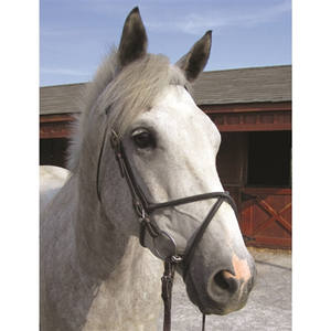Temporada Samosata Old Snake ISO 9001 Certificado Personalizable Horse Products Figura 8 Cavesson Noseband Brida Envío al por mayor - Product Image 2