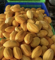 Zacht gedroogde mango Vietnamese groothandel_ What.app84972678053