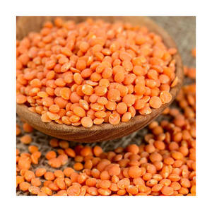 Lentejas rojas de alta calidad a precios asequibles, lentejas rojas en venta - Product Image 3
