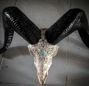 Crâne artisanal de taureau et de bélier avec cornes majestueuses Décoration murale et culturelle contemporaine - Product Image 1