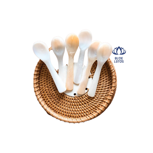Cuillère à café en coquillage de conque cuillère à caviar cuillère à café meilleur prix - Product Image 5