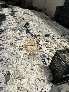 Os de seiche séché de haute qualité pour les aliments pour animaux de compagnie provenant du Vietnam pour l'alimentation animale - Product Image 3