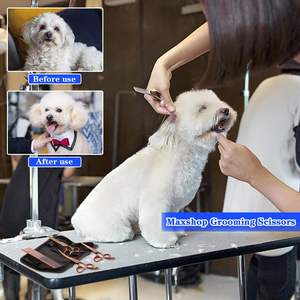 Tijeras de Peluquería Canina, Herramientas de Peluquería para Perros, Tijeras de Acero Inoxidable para Peluquería Canina, Tijeras de Corte, Peine para Mascotas de Acero Inoxidable - Product Image 6