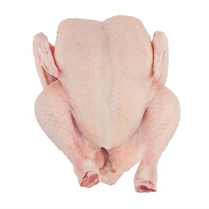 ไก่แช่แข็งทั้งตัวจากบราซิล สำหรับผู้ค้าส่ง - ขั้นต่ำ 27 ตัน - Product Image 3
