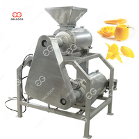 Équipement de production de jus de pulpe de mangue, machine à pulper les fruits à double pression, machine à pulper la pâte de tomate