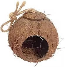 Casa para Pájaros de Cáscara de Coco Premium, Duradera, Natural y Ecológica +84987336614 (Vincent) - Product Image 4