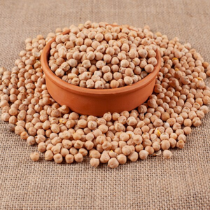 Garbanzos Kabuli Secos 100% Puros para Uso en Restaurantes, Cosecha Nueva, Tamaño Grande, Seleccionados a Mano, en Bolsas de Polietileno, Exportación Global - Product Image 6