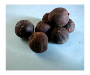 มะนาวอบแห้งคุณภาพส่งออกชิ้นมะนาวอบแห้งระดับพรีเมียมพร้อมกลิ่นหอมเข้มข้นเหมาะสำหรับผลิตภัณฑ์ปรับปรุงและคืนสภาพผิว - Product Image 3