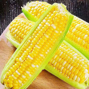 Maíz Amarillo de Exportación al por Mayor, Calidad Premium, Sin OMG, Granos Libres, Envío de 25 Toneladas para Ganado Vacuno, Avícola y Fabricantes Agrícolas - Product Image 3