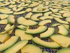 Fruits séchés Avocat Fruits séchés de haute qualité - Product Image 4