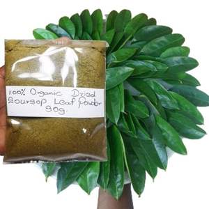 Vietnam Usine En Gros Naturel Graviola Soursop 10:1 & Extrait De Feuille De 20:1 Supplément À Base De Plantes - Product Image 6