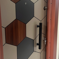 Porte d'entrée extérieure de sécurité anti-effraction en acier inoxydable 304 de qualité supérieure, finition manuelle moderne, fabricant turc
