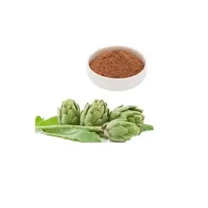 Koraal Leveren Beste Kwaliteit Cynarin 2.5% 5% 10% Biologische Artisjok Extract Poeder Bruin Pobest Kwaliteit Producten Leveren Van India