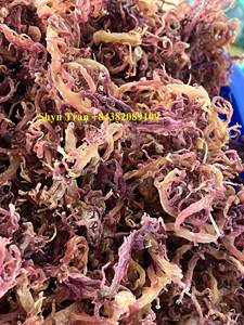 Origine de mousse de mer de haute qualité et au meilleur prix au Vietnam pour l'exportation fabriquée à partir de mousse de mer naturelle/Shyn Tran - Product Image 4