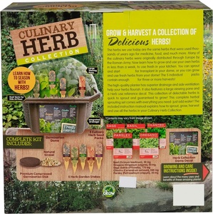 Kit de démarrage de jardin d'herbes d'intérieur, 5 sachets, terrarium comprenant <span class=keywords><strong>basilic</strong></span>, origan, persil, terreau, pots à fleurs, jardinières - Product Image 2