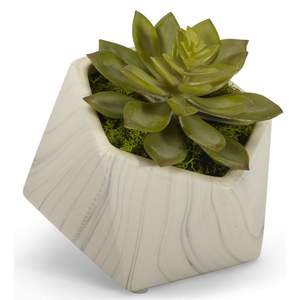 Macetero de Mármol de Diseño Recién Llegado, Elaborado para Fines de Estilo Interior de Primera Calidad - Product Image 1