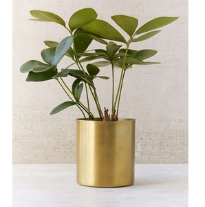 Maceta Grande Decorativa de Metal para Árboles de Interior, Decoración de Lujo para el Hogar, Hotel, Restaurante - Product Image 5