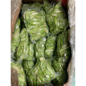 เผือกแช่แข็งจากโรงงานเวียดนามส่งตรงคุณภาพพรีเมี่ยม - Product Image 3