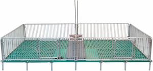 Gran oferta, pluma de parto económica, nueva condición, jaula de parto para cerdos, puesto de parto, 1 año de garantía para la cría de cerdos en China - Product Image 3