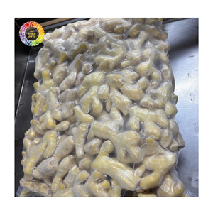 Mezcla de Jengibre Congelado IQF, Jengibre Entero Congelado, Jengibre Pelado, Jengibre en Rodajas y Jengibre en Cubos para Compradores de Todo el Mundo - Product Image 1