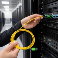 Kabel Patch Fiber Optik MPO/MTP High-Density 12/24 Core Multimode OM3 10Gbps RJ45 Boot Transparan PVC Panjang Sesuai Pesanan