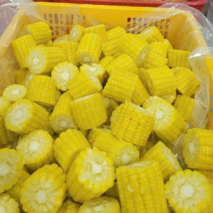 Maíz congelado a granel de Vietnam disponible al por mayor con color de tamaño consistente y dulzura natural - Product Image 1